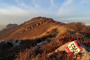 86 Ho percorso il 596 fino alla cima del Castel Regina